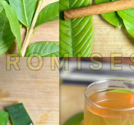 These Leaves Can Eliminate Poor Circulation, Diabetes, Fatty Liver, and Knee Pain Without Pills These Leaves Can Eliminate Poor Circulation, Diabetes, Fatty Liver, and Knee Pain Without Pills