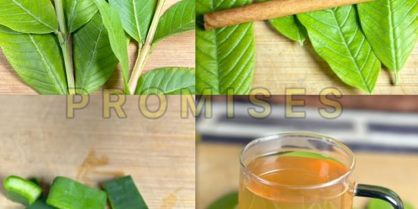 These Leaves Can Eliminate Poor Circulation, Diabetes, Fatty Liver, and Knee Pain Without Pills These Leaves Can Eliminate Poor Circulation, Diabetes, Fatty Liver, and Knee Pain Without Pills