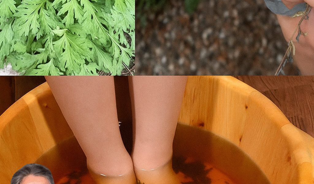 The Surprising Benefits of Using Mugwort for Foot Soaks and Applications The Surprising Benefits of Using Mugwort for Foot Soaks and Applications