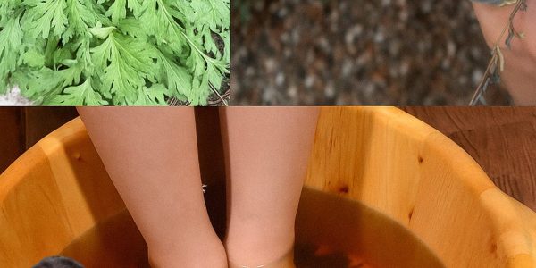 The Surprising Benefits of Using Mugwort for Foot Soaks and Applications
