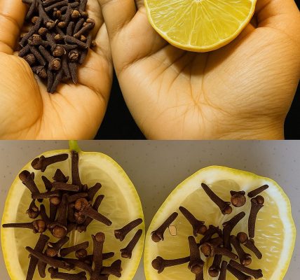 🍋 Cloves and Lemon: A Natural Duo for Protection, Freshness & Wellness 🍋 Cloves and Lemon: A Natural Duo for Protection, Freshness & Wellness