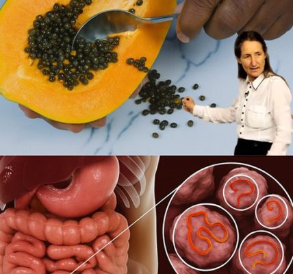 The Powerful Health Benefits of Papaya Seeds: Why You Should Include Them in Your Diet The Powerful Health Benefits of Papaya Seeds: Why You Should Include Them in Your Diet