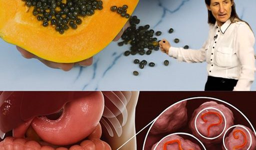 The Powerful Health Benefits of Papaya Seeds: Why You Should Include Them in Your Diet The Powerful Health Benefits of Papaya Seeds: Why You Should Include Them in Your Diet