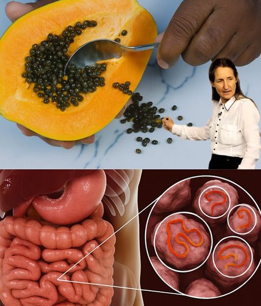 The Powerful Health Benefits of Papaya Seeds: Why You Should Include Them in Your Diet The Powerful Health Benefits of Papaya Seeds: Why You Should Include Them in Your Diet