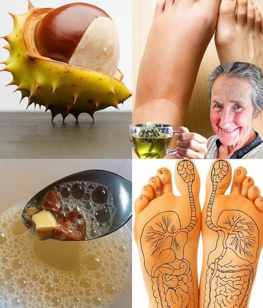🌿 Horse Chestnut: Unleashing Nature’s Mightiest Remedy for Swollen Legs and Beyond! 🌿 Horse Chestnut: Unleashing Nature’s Mightiest Remedy for Swollen Legs and Beyond!