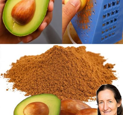 Unlock the Hidden Power of Avocado Seeds: 7 Astonishing Reasons to Stop Throwing Them Away Unlock the Hidden Power of Avocado Seeds: 7 Astonishing Reasons to Stop Throwing Them Away