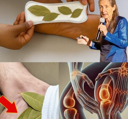 Discover the Surprising Benefits of Putting a Bay Leaf in Your Socks