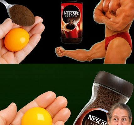 Why Eggs and Coffee Are the Perfect Morning Combo for Energy, Focus & Health Why Eggs and Coffee Are the Perfect Morning Combo for Energy, Focus & Health