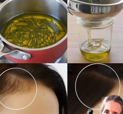 Unlocking the Healing Power of Rosemary: A Timeless Remedy for Modern Health Challenges Unlocking the Healing Power of Rosemary: A Timeless Remedy for Modern Health Challenges