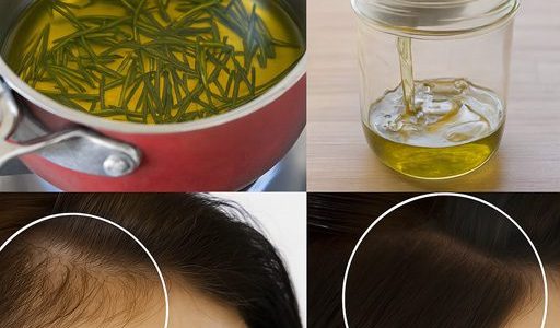 Unlocking the Healing Power of Rosemary: A Timeless Remedy for Modern Health Challenges Unlocking the Healing Power of Rosemary: A Timeless Remedy for Modern Health Challenges