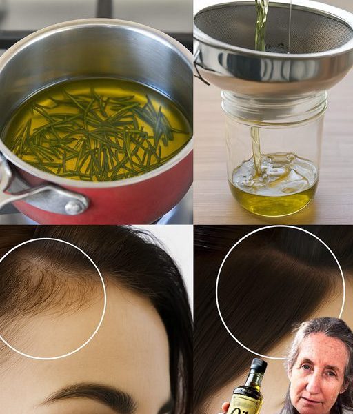 Unlocking the Healing Power of Rosemary: A Timeless Remedy for Modern Health Challenges Unlocking the Healing Power of Rosemary: A Timeless Remedy for Modern Health Challenges