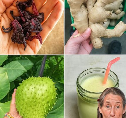 A natural health tonic (Hibiscus, Ginger & Soursop) A natural health tonic (Hibiscus, Ginger & Soursop)