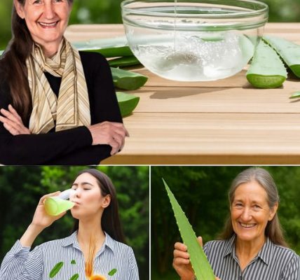 🌿 Unlock the Power of Aloe Vera Water: 11 Life-Changing Health Benefits You Need to Know! 🌿 Unlock the Power of Aloe Vera Water: 11 Life-Changing Health Benefits You Need to Know!