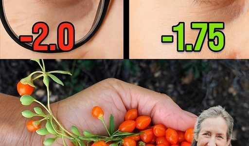 Goji Berries for Better Vision: Nature’s Red Treasure for Your Eyes and More Goji Berries for Better Vision: Nature’s Red Treasure for Your Eyes and More
