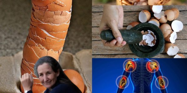 🥚 The Secret in Your Kitchen Trash: Crushed Eggshells for Strong Joints, Bones & Natural Pain Relief 🥚 The Secret in Your Kitchen Trash: Crushed Eggshells for Strong Joints, Bones & Natural Pain Relief