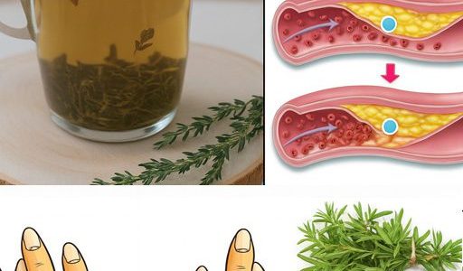 Thyme Unveiled: The Tiny Herb with Monumental Health Secrets You’ll Wish You Knew Sooner! Thyme Unveiled: The Tiny Herb with Monumental Health Secrets You’ll Wish You Knew Sooner!