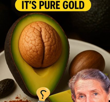 Unlock the Hidden Magic of Avocado Seeds 🌱 Unlock the Hidden Magic of Avocado Seeds 🌱