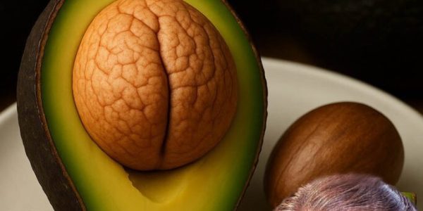 Unlock the Hidden Magic of Avocado Seeds 🌱 Unlock the Hidden Magic of Avocado Seeds 🌱