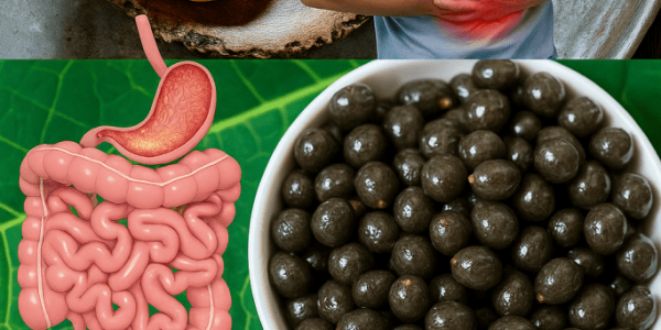 🌱 Unlock the Hidden Power of Papaya Seeds: 15 Surprising Benefits and How to Use Them 🌱 Unlock the Hidden Power of Papaya Seeds: 15 Surprising Benefits and How to Use Them