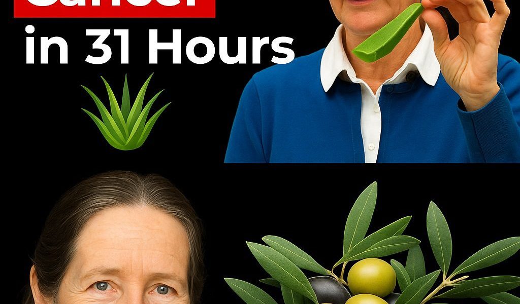 šæ The Natural Shift: How Barbara OāNeillās Holistic Philosophy Is Reshaping the Fight Against Cancer šæ The Natural Shift: How Barbara OāNeillās Holistic Philosophy Is Reshaping the Fight Against Cancer