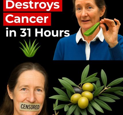 🌿 The Natural Shift: How Barbara O’Neill’s Holistic Philosophy Is Reshaping the Fight Against Cancer 🌿 The Natural Shift: How Barbara O’Neill’s Holistic Philosophy Is Reshaping the Fight Against Cancer