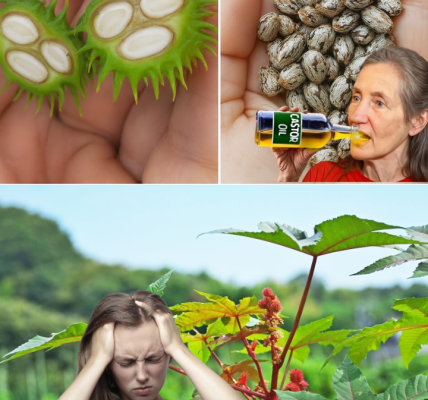 Unlock the Astonishing Secrets of Castor Oil: 7 Life-Changing Benefits You NEED to Know! 🌿 Unlock the Astonishing Secrets of Castor Oil: 7 Life-Changing Benefits You NEED to Know! 🌿