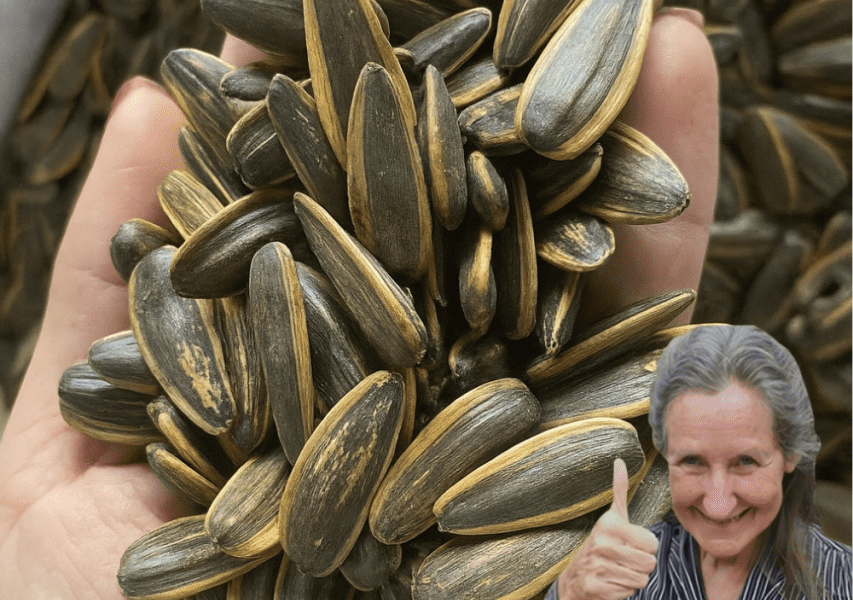 đ¨ Shocking Sunflower Seed Secrets You NEED to Know Before Your Next Snack! đ¨ Shocking Sunflower Seed Secrets You NEED to Know Before Your Next Snack!