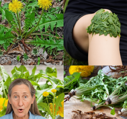 🌿 This “Coffee” Detoxes Your Liver, Clears Your Skin, and Doesn’t Contain a Drop of Caffeine… Curious? 🌿 This “Coffee” Detoxes Your Liver, Clears Your Skin, and Doesn’t Contain a Drop of Caffeine… Curious?