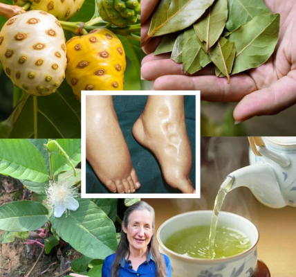 The Miracle Tonic You NEED to Transform Your Health: Fight Swollen Feet, Diabetes, and Poor Circulation Naturally! 🌿 The Miracle Tonic You NEED to Transform Your Health: Fight Swollen Feet, Diabetes, and Poor Circulation Naturally! 🌿