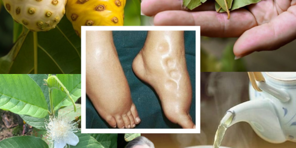 The Miracle Tonic You NEED to Transform Your Health: Fight Swollen Feet, Diabetes, and Poor Circulation Naturally! 🌿 The Miracle Tonic You NEED to Transform Your Health: Fight Swollen Feet, Diabetes, and Poor Circulation Naturally! 🌿