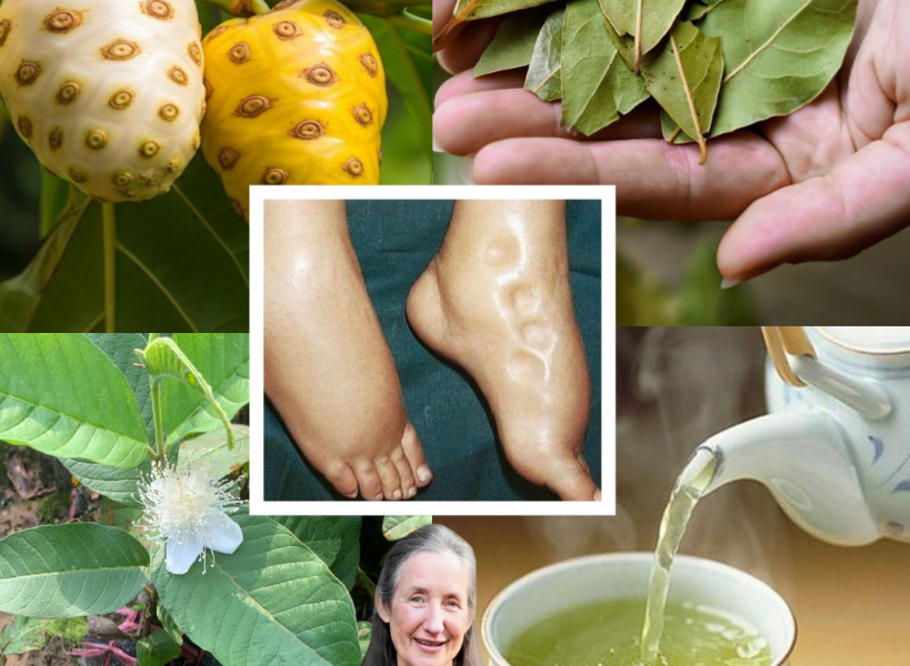 The Miracle Tonic You NEED to Transform Your Health: Fight Swollen Feet, Diabetes, and Poor Circulation Naturally! šæ The Miracle Tonic You NEED to Transform Your Health: Fight Swollen Feet, Diabetes, and Poor Circulation Naturally! šæ