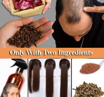 🌿 Unveiling the Healing Magic of Plantain: Nature’s Versatile First-Aid Herb! 🌿 Unveiling the Healing Magic of Plantain: Nature’s Versatile First-Aid Herb!