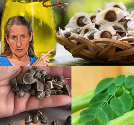 Unlock the Miracle of Moringa Seeds: 25 Life-Changing Benefits You Need to Know Unlock the Miracle of Moringa Seeds: 25 Life-Changing Benefits You Need to Know