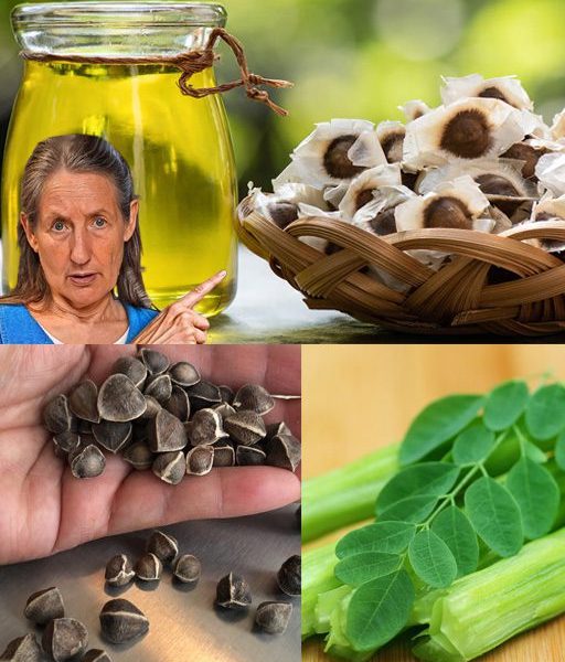 Unlock the Miracle of Moringa Seeds: 25 Life-Changing Benefits You Need to Know Unlock the Miracle of Moringa Seeds: 25 Life-Changing Benefits You Need to Know