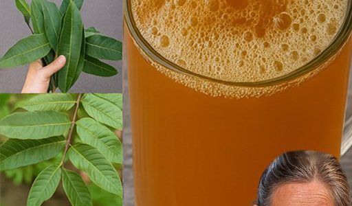 Natureās Secret Pharmacy: Unlock the Healing Power of Avocado, Mango, Bay, and Guava Leaves Natureās Secret Pharmacy: Unlock the Healing Power of Avocado, Mango, Bay, and Guava Leaves