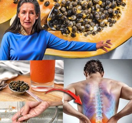 Tiny Seeds, Massive Power: 7 Life-Changing Benefits of Papaya Seeds You Can’t Ignore Tiny Seeds, Massive Power: 7 Life-Changing Benefits of Papaya Seeds You Can’t Ignore