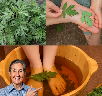 🌿 The Astonishing Secret of Mugwort Foot Soaks: Unlock a World of Wellness Through Your Feet 🌿 The Astonishing Secret of Mugwort Foot Soaks: Unlock a World of Wellness Through Your Feet