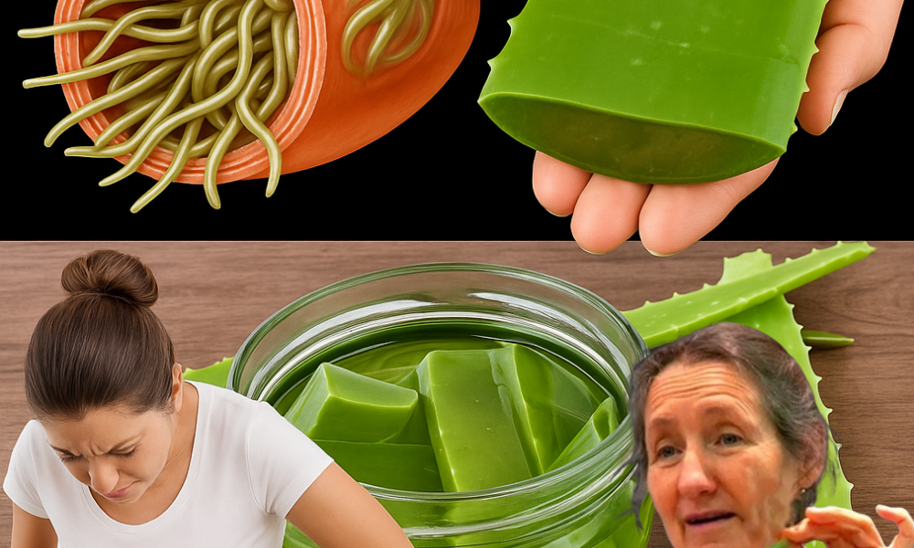 đż Unlock the Secret Power of Aloe Vera: A Zesty Lemon-Clove Elixir to Transform Your Health! đż Unlock the Secret Power of Aloe Vera: A Zesty Lemon-Clove Elixir to Transform Your Health!