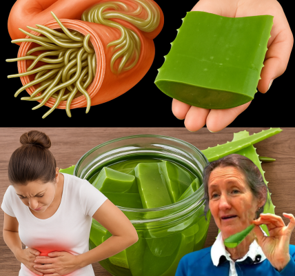 🌿 Unlock the Secret Power of Aloe Vera: A Zesty Lemon-Clove Elixir to Transform Your Health! 🌿 Unlock the Secret Power of Aloe Vera: A Zesty Lemon-Clove Elixir to Transform Your Health!