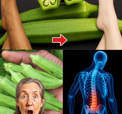 20 Astonishing Health Benefits of Okra That Will Leave You Hungry for More 20 Astonishing Health Benefits of Okra That Will Leave You Hungry for More