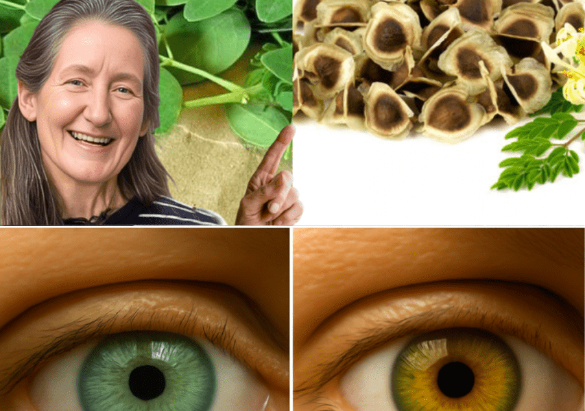 đż 12 Shocking Moringa Seed Secrets Your Doctor Wonât Tell You (But Your Body Will Thank You For Knowing) đż 12 Shocking Moringa Seed Secrets Your Doctor Wonât Tell You (But Your Body Will Thank You For Knowing)