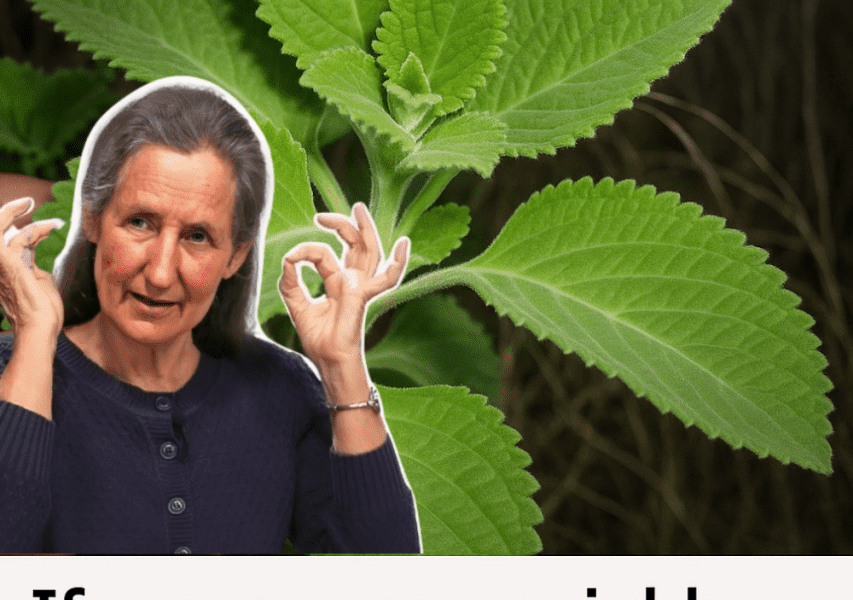 đż This Plant Hiding in Your Kitchen Could Be the Ultimate Treasure for Every Woman đż This Plant Hiding in Your Kitchen Could Be the Ultimate Treasure for Every Woman