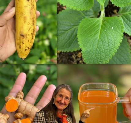 🌟 The Miracle Drink That Cured My Cancer, Diabetes, and More at 60! 🌟 The Miracle Drink That Cured My Cancer, Diabetes, and More at 60!