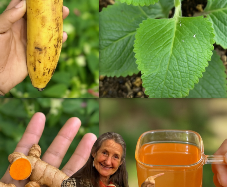 🌟 The Miracle Drink That Cured My Cancer, Diabetes, and More at 60! 🌟 The Miracle Drink That Cured My Cancer, Diabetes, and More at 60!