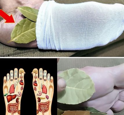 Feel Like a Teenager Again: The Incredible Joint-Healing Power of Bay Leaves Feel Like a Teenager Again: The Incredible Joint-Healing Power of Bay Leaves