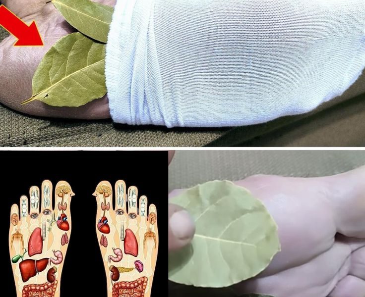 Feel Like a Teenager Again: The Incredible Joint-Healing Power of Bay Leaves Feel Like a Teenager Again: The Incredible Joint-Healing Power of Bay Leaves