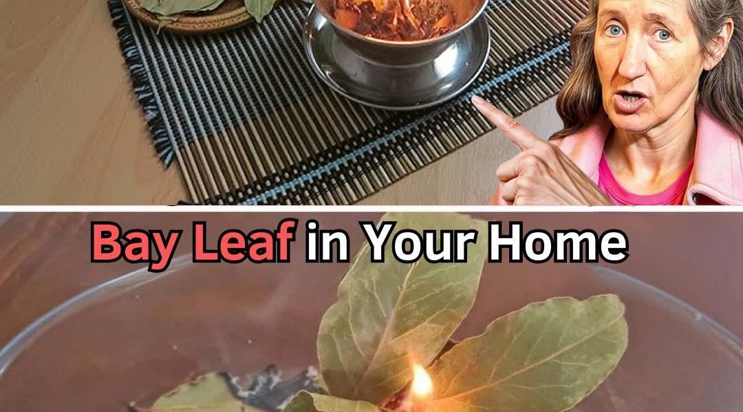 12 Things That Happen When You Burn a Bay Leaf at Home Every Night 12 Things That Happen When You Burn a Bay Leaf at Home Every Night