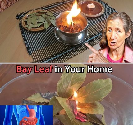 12 Things That Happen When You Burn a Bay Leaf at Home Every Night 12 Things That Happen When You Burn a Bay Leaf at Home Every Night