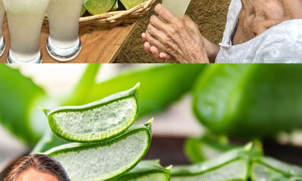 The Miraculous Power of Aloe Vera: Nature’s Soothing Secret The Miraculous Power of Aloe Vera: Nature’s Soothing Secret