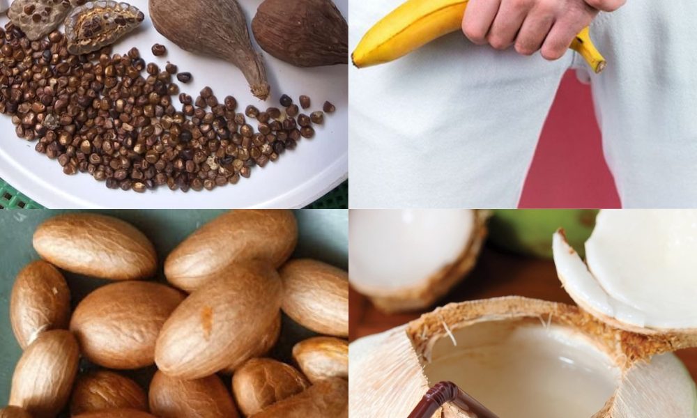 Natural Hydration and Wellness: The Power of Bitter Kola, Coconut Water, and Alligator Pepper Natural Hydration and Wellness: The Power of Bitter Kola, Coconut Water, and Alligator Pepper